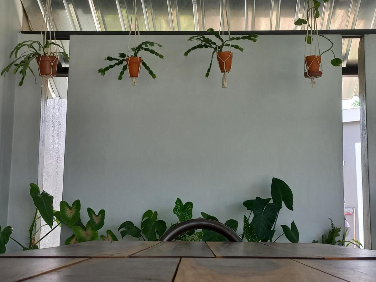 Urban Farm Haus Guesthouse Rundu Luaran gambar