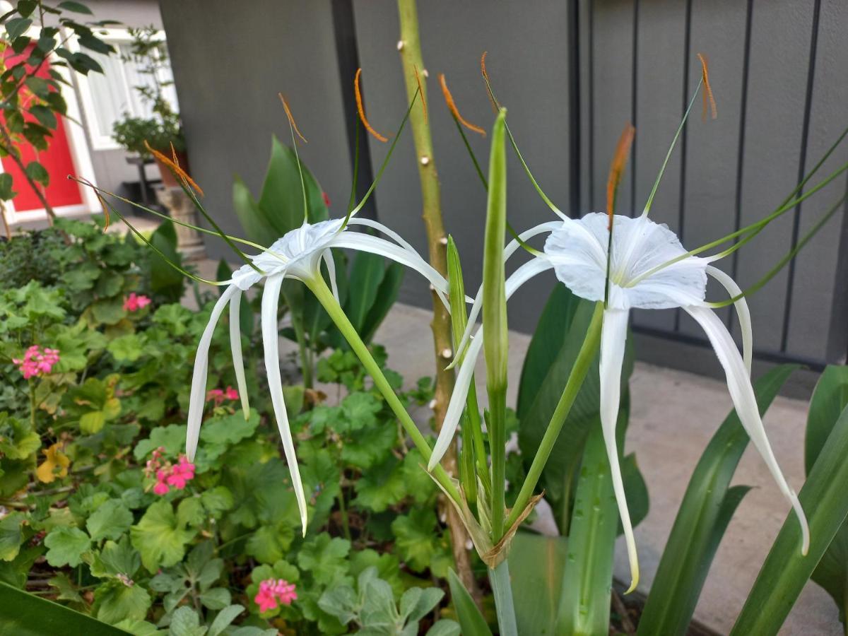 Urban Farm Haus Guesthouse Rundu Luaran gambar